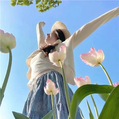蓝色大丽花